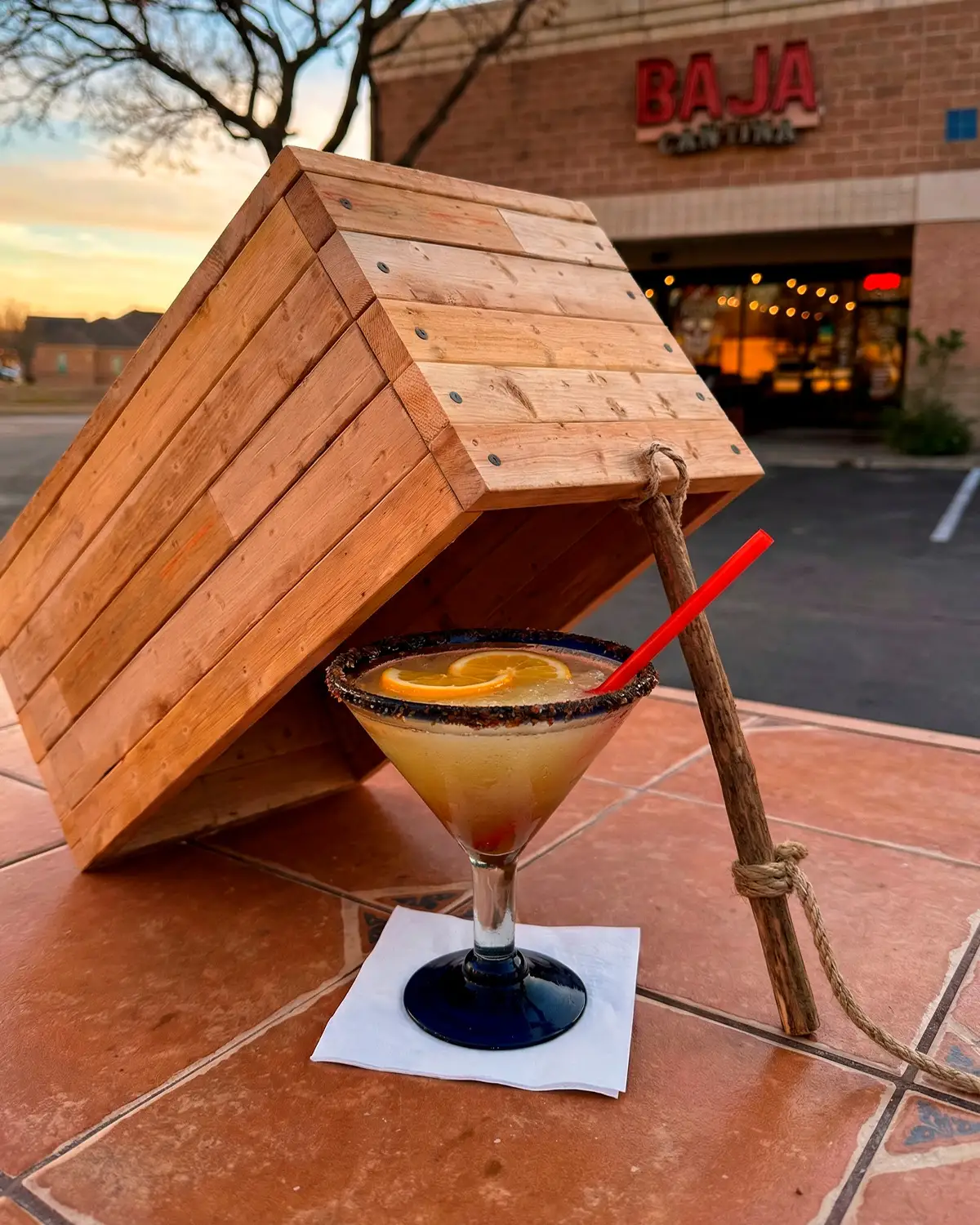 Baja Vibe 8
